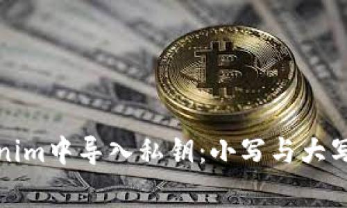 如何在Tokenim中导入私钥：小写与大写的注意事项