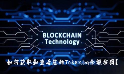 如何获取和查看您的Tokenim余额截图？
