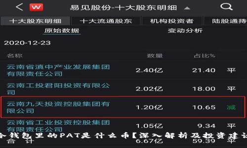 冷钱包里的PAT是什么币？深入解析及投资建议