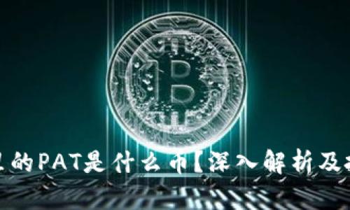 冷钱包里的PAT是什么币？深入解析及投资建议