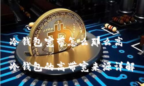 冷钱包宽带怎么那么高

冷钱包的高带宽来源详解