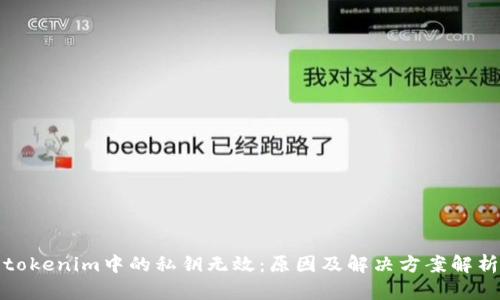 tokenim中的私钥无效：原因及解决方案解析