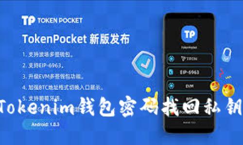 如何通过Tokenim钱包密码找回私钥：详尽指南