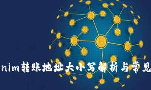 Tokenim转账地址大小写解析与常见问题