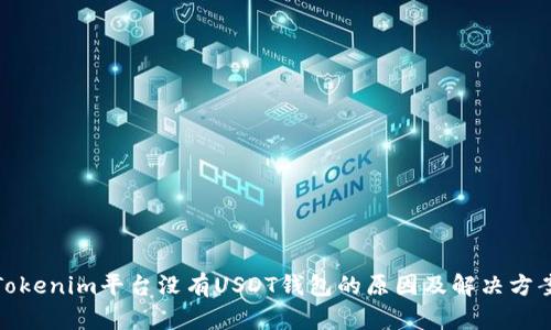 Tokenim平台没有USDT钱包的原因及解决方案