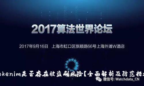 Tokenim是否存在被盗刷风险？全面解析及防范措施