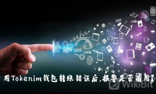 用Tokenim钱包转账错误后，报警是否有用？