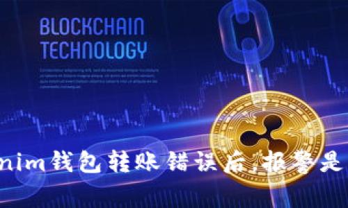 用Tokenim钱包转账错误后，报警是否有用？