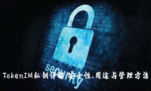 TokenIM私钥详解：安全性、用途与管理方法