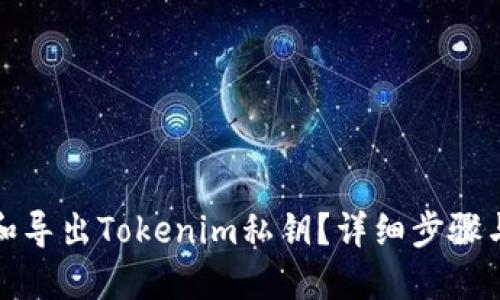 如何找回和导出Tokenim私钥？详细步骤与解决方案