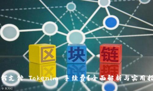 如何支付 Tokenim 手续费？全面解析与实用指南