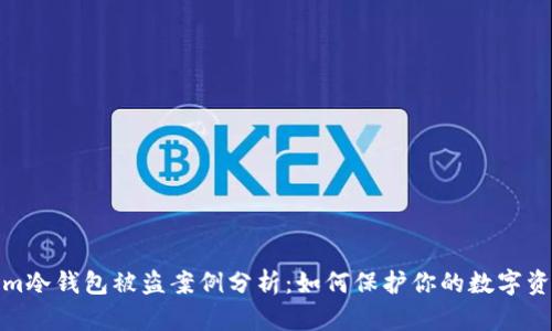 Tokenim冷钱包被盗案例分析：如何保护你的数字资产安全