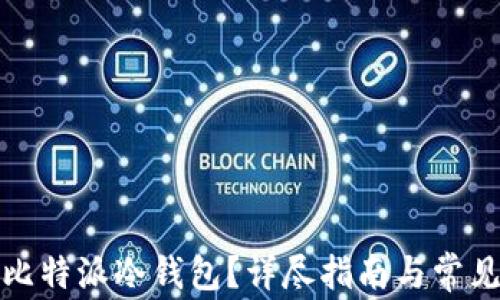 
如何设置比特派冷钱包？详尽指南与常见问题解答