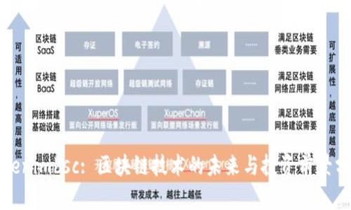 Tokenimbsc: 区块链技术的未来与投资前景分析