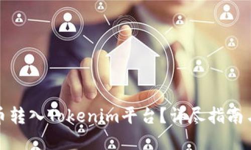 如何将云币转入Tokenim平台？详尽指南与实用技巧