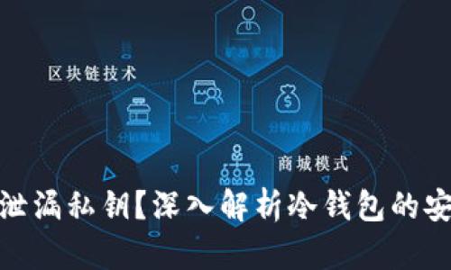 冷钱包能否泄漏私钥？深入解析冷钱包的安全性与风险