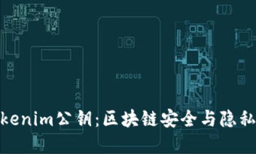 深入理解Tokenim公钥：区块链安全与隐私保护的关键