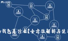 Gopay钱包是什么？全方位解