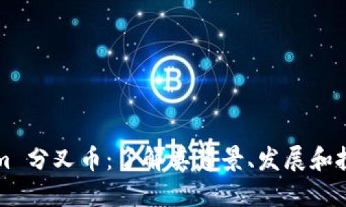 Tokenim 分叉币：了解其背景、发展和投资潜力