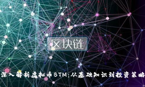 深入解析虚拟币BTM：从基础知识到投资策略