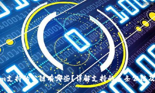 Tokenim支持的公链有哪些？详解支持的多条公链及其特性