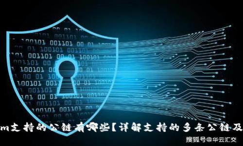 Tokenim支持的公链有哪些？详解支持的多条公链及其特性