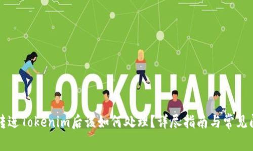 狗狗币转进Tokenim后该如何处理？详尽指南与常见问题解答