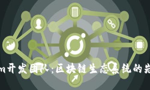 Tokenim开发团队：区块链生态系统的先锋力量