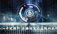 Tokenim开发团队：区块链生