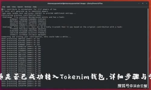 如何确认代币是否已成功转入Tokenim钱包，详细步骤与常见问题解析