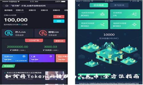 如何将Tokenim转换为人民币：全方位指南