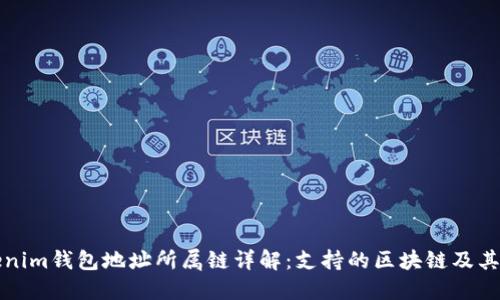 Tokenim钱包地址所属链详解：支持的区块链及其特点