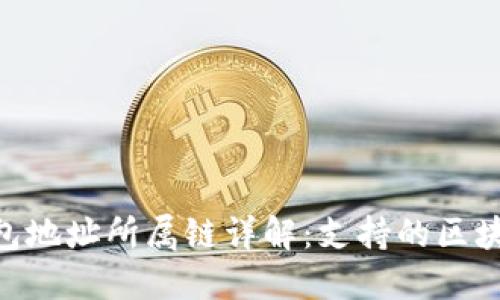 Tokenim钱包地址所属链详解：支持的区块链及其特点
