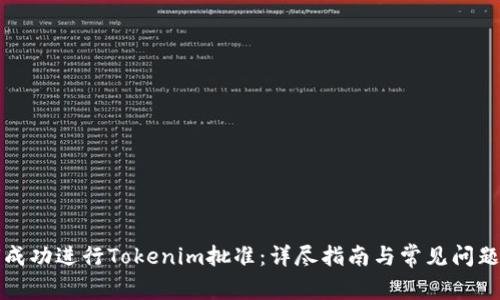 如何成功进行Tokenim批准：详尽指南与常见问题解答