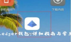 如何恢复Ledger钱包：详细