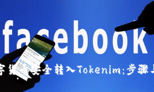 如何将数字货币安全转入Tokenim：步骤与注意事项
