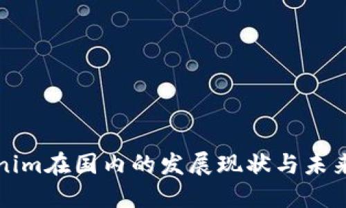 Tokenim在国内的发展现状与未来展望