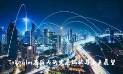 Tokenim在国内的发展现状与