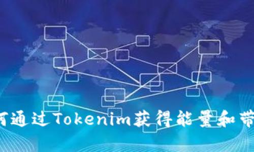 如何通过Tokenim获得能量和带宽？