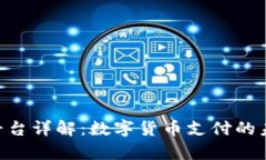 Coinpay平台详解：数字货币