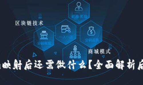 Tokenim映射后还需做什么？全面解析后续操作。