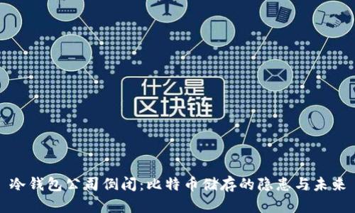 冷钱包公司倒闭：比特币储存的隐患与未来
