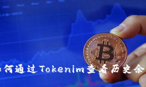 如何通过Tokenim查看历史余额