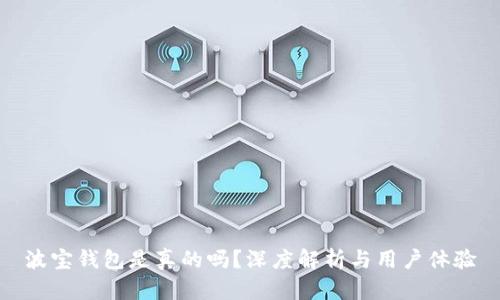 波宝钱包是真的吗？深度解析与用户体验