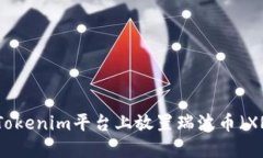 如何在Tokenim平台上放置瑞