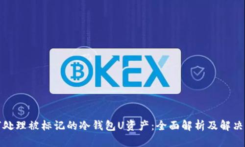 如何处理被标记的冷钱包U资产：全面解析及解决方案