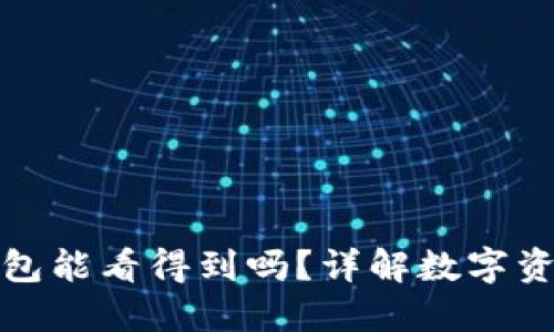 冷钱包转冷钱包能看得到吗？详解数字资产隐私与安全