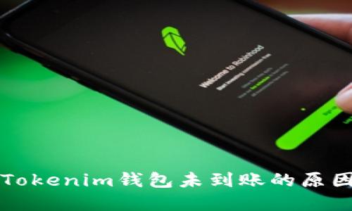MDX币转到Tokenim钱包未到账的原因及解决方法