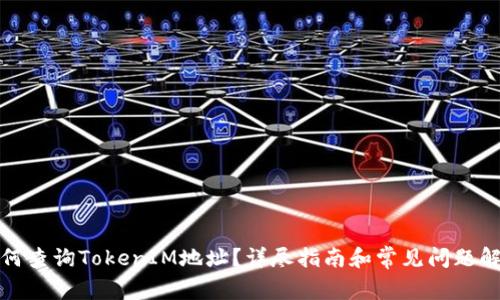 如何查询TokenIM地址？详尽指南和常见问题解答