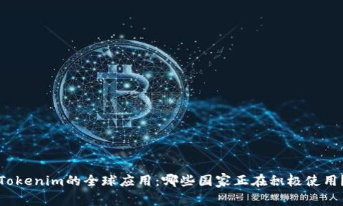 Tokenim的全球应用：哪些国家正在积极使用？